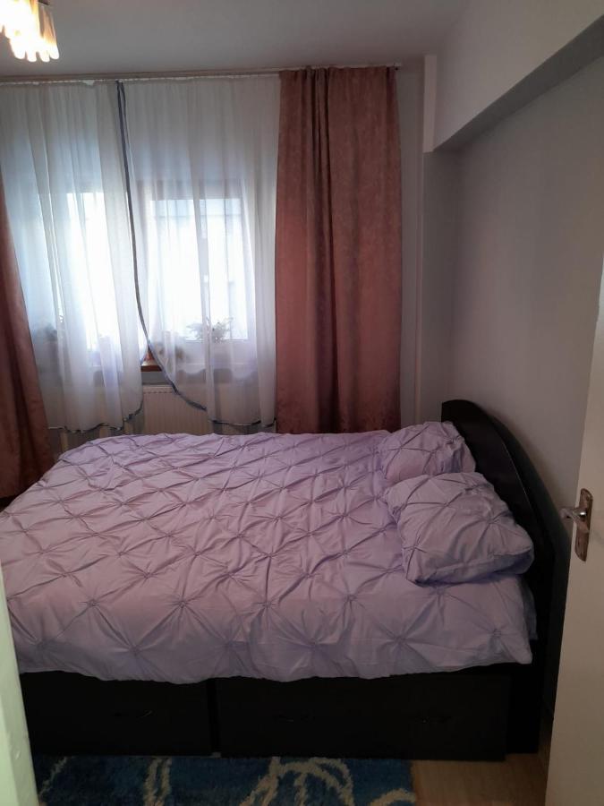 Apartament Straja - Lupeni  외부 사진