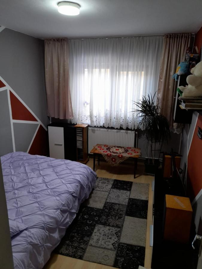 Apartament Straja - Lupeni  외부 사진